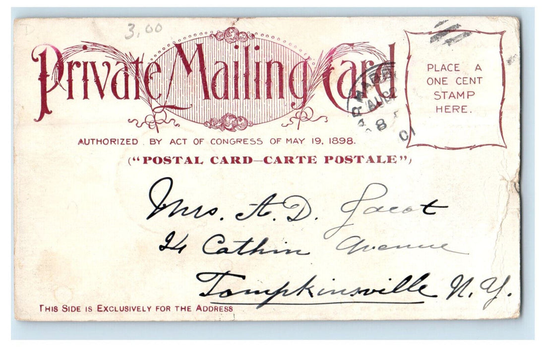 1901 Bar Harbor Maine ME Tompkins NY Arthur Livingston PMC Postcard