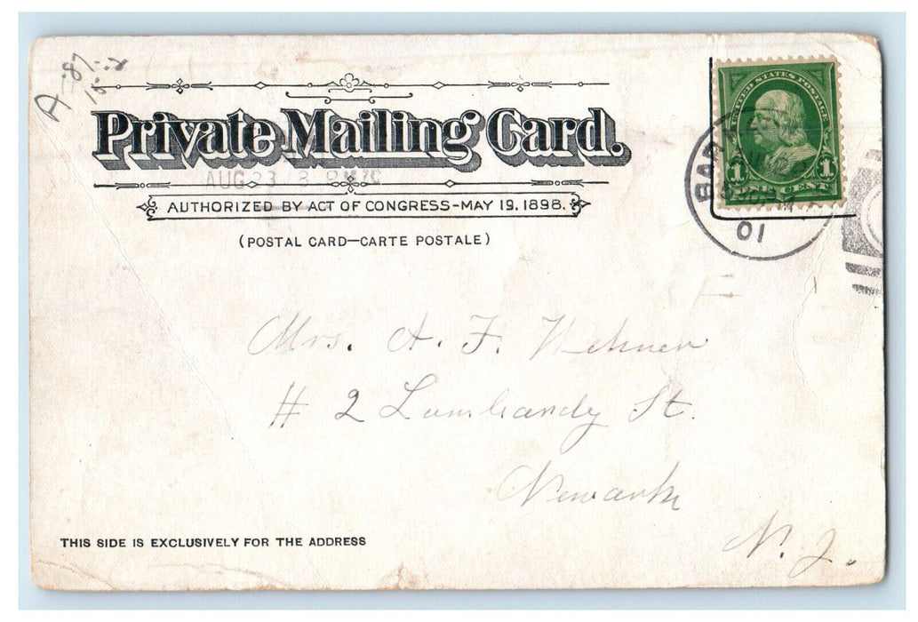 1901 Multiview of The Eagle Lake Acadia National Park Maine ME Antique Postcard