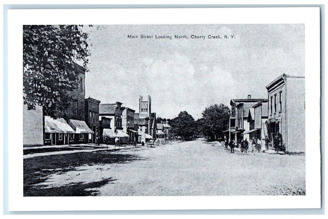 1900 Main Street Looking North Cherry Creek New York NY Unposted Postcard