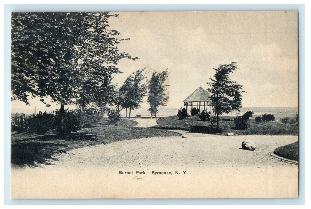 c1905s Burnet Park, Syracuse New York NY Antique Unposted Postcard