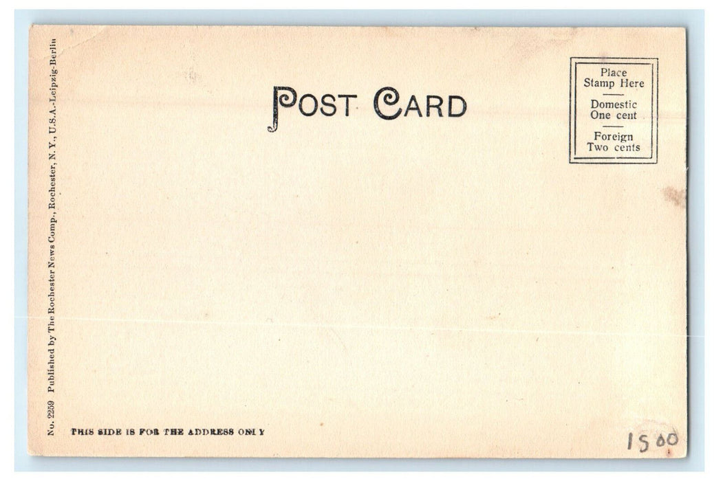 c1905s Burnet Park, Syracuse New York NY Antique Unposted Postcard