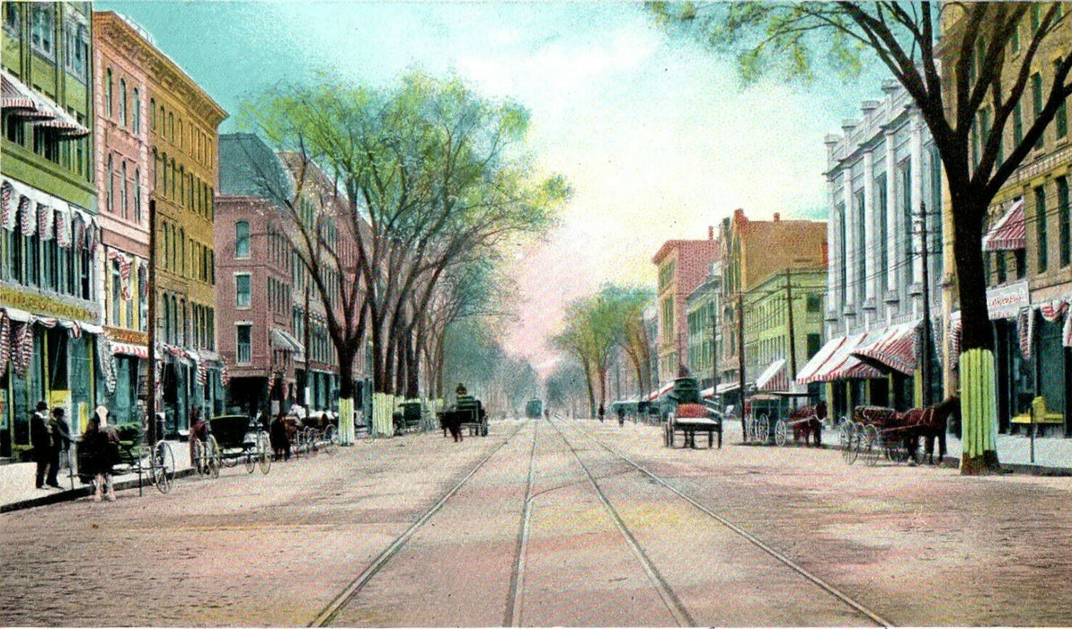 c1905s Elm Street Looking South, Manchester New Hampshire NH Antique Postcard