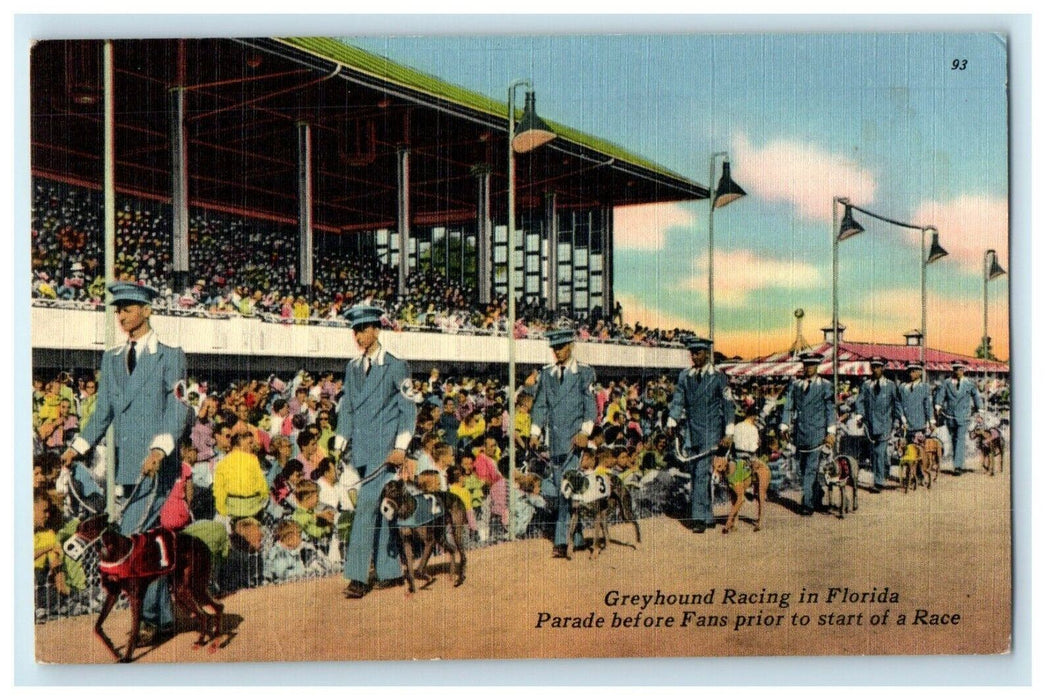 1959 Greyhound Dogs Racing In Florida, Parade Before Fans Start Race Postcard