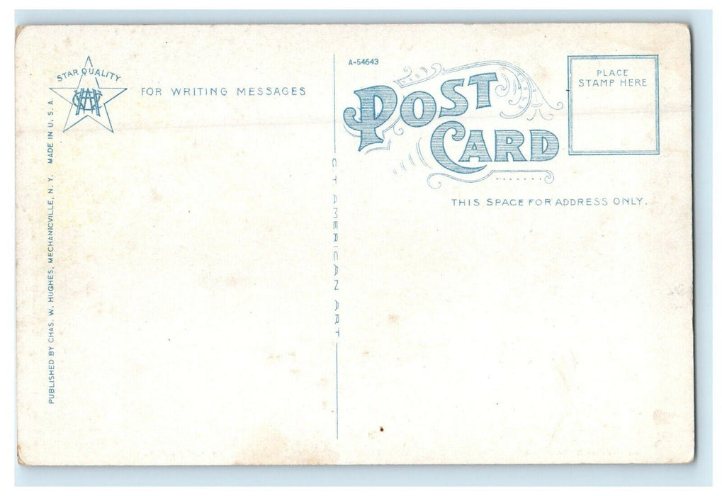 Anthony's Nose And Boat Landing From Bear Mountain Park Hudson River NY Postcard