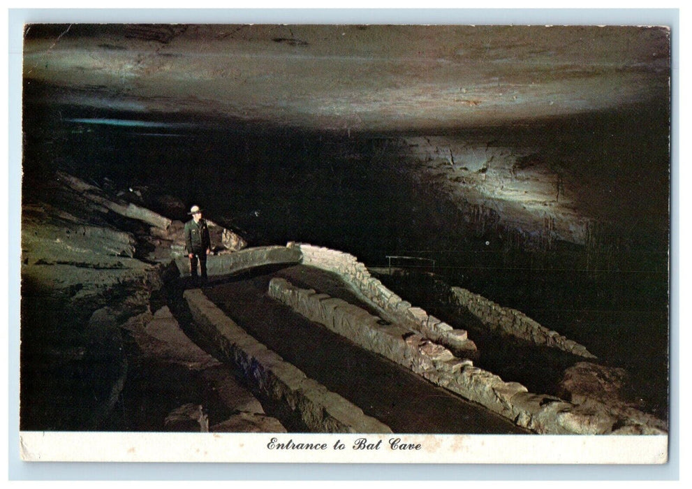 1980 Entrance To Bat Cave Carlsbad Caverns  National Park New Mexico NM Postcard