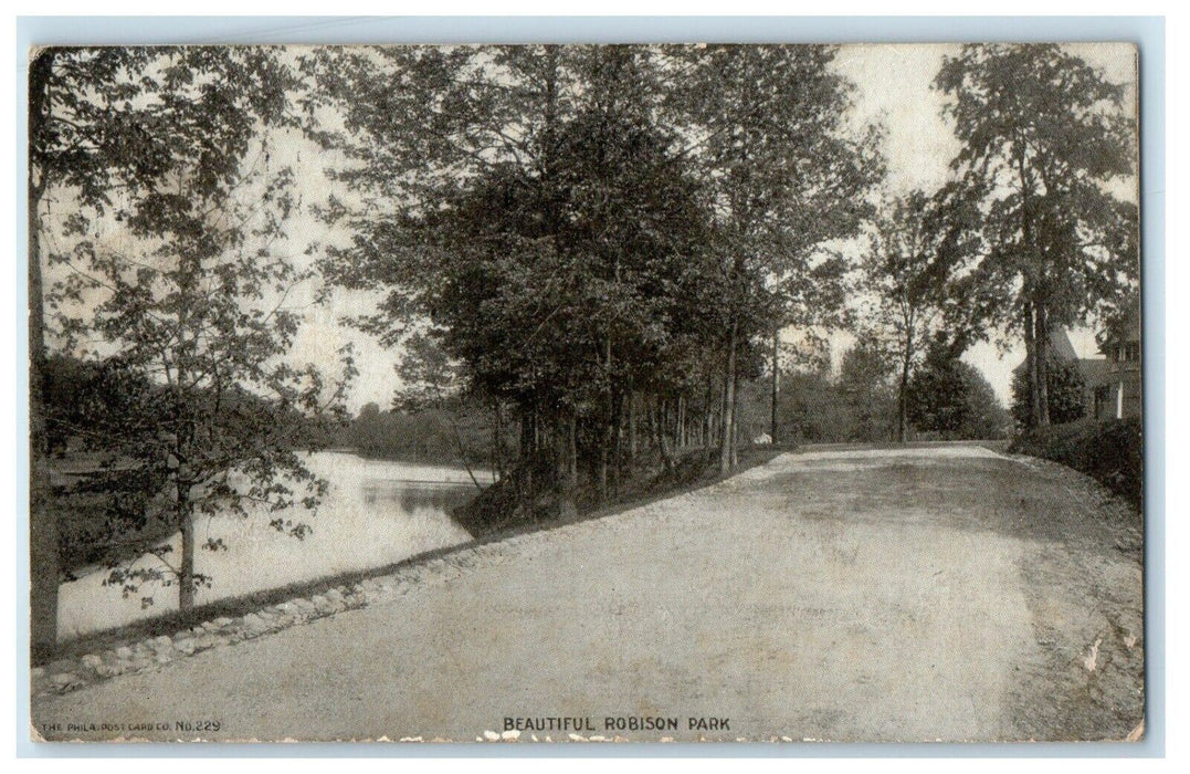 1909 Beautiful Robinson Park Bluffton Indiana IN Posted Antique Postcard