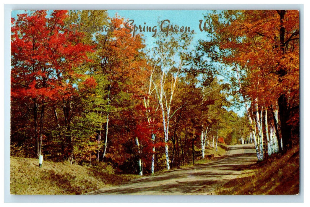 1958 Autumn Trees, Greetings Spring Green WI Posted Vintage Postcard