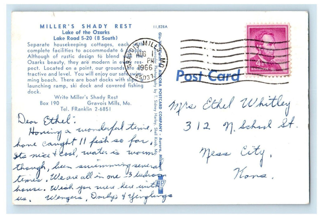 1966 Miller's Shady Rest Lake Of Ozarks Gravois Mills Missouri MO Postcard