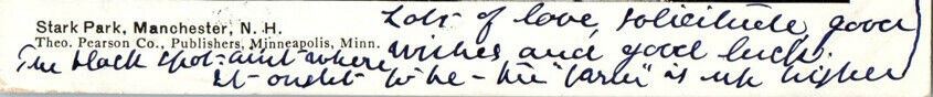 1905 Stark Park, Manchester New Hampshire NH Posted Antique Postcard