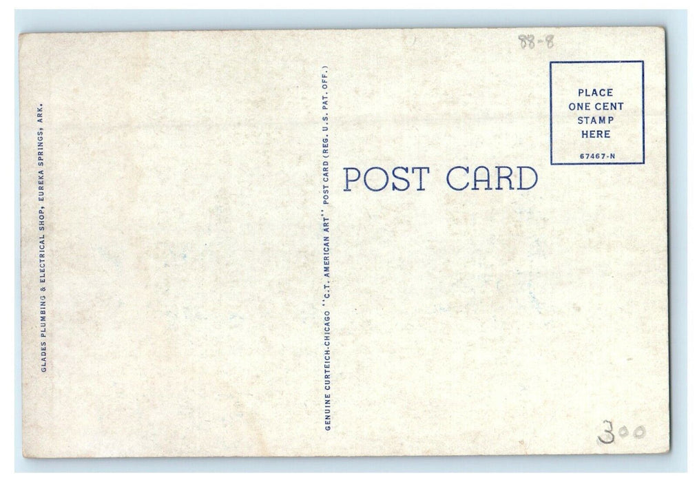 c1940's Basin Park Hotel Eureka Springs Arkansas AR Unposted Vintage Postcard