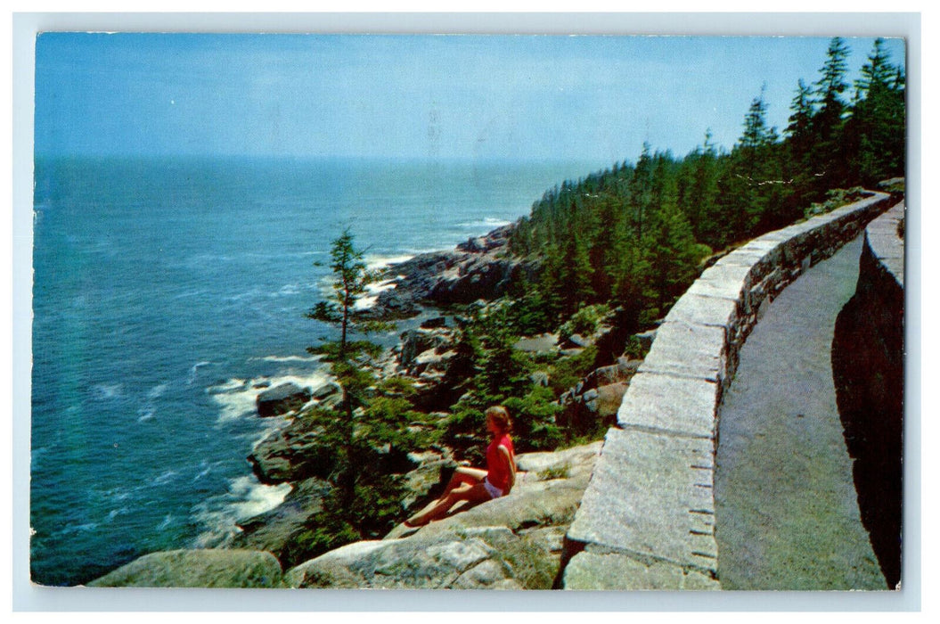 1961 View from Summit of Otter Cliff Acadia National Park Maine ME Postcard