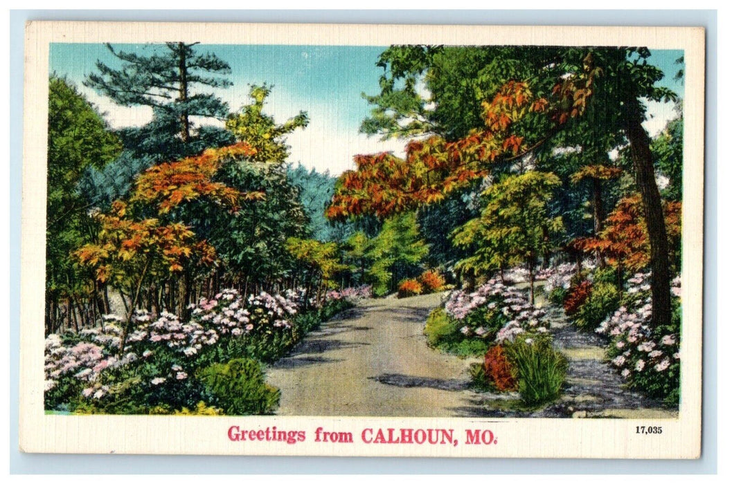 1951 Greetings From Calhoun Missouri MO, Road Flower View Vintage Postcard