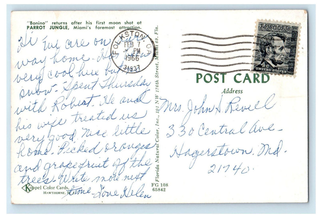 1966 Parrot with Yellow Umbrella Parrot Jungle Miami Florida FL Postcard