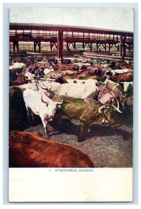 c1910 Buffalo Gathering, Stock Yards Chicago Illinois IL Unposted Postcard