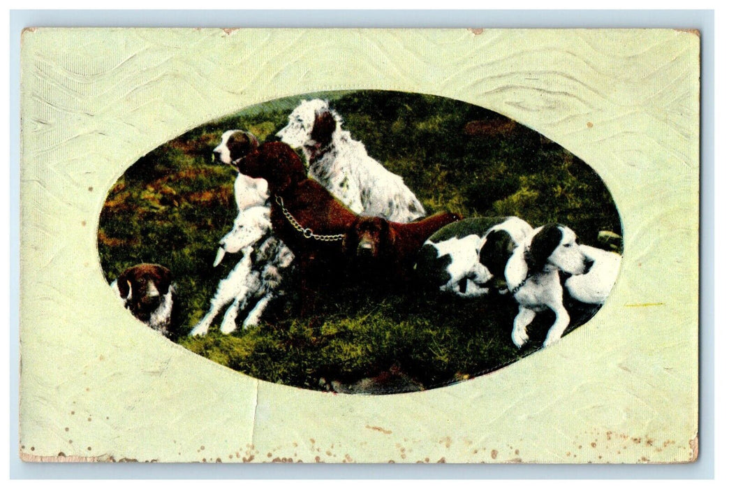 1911 Hunting Shepherd Dogs Baltimore Maryland MD Posted Antique Postcard