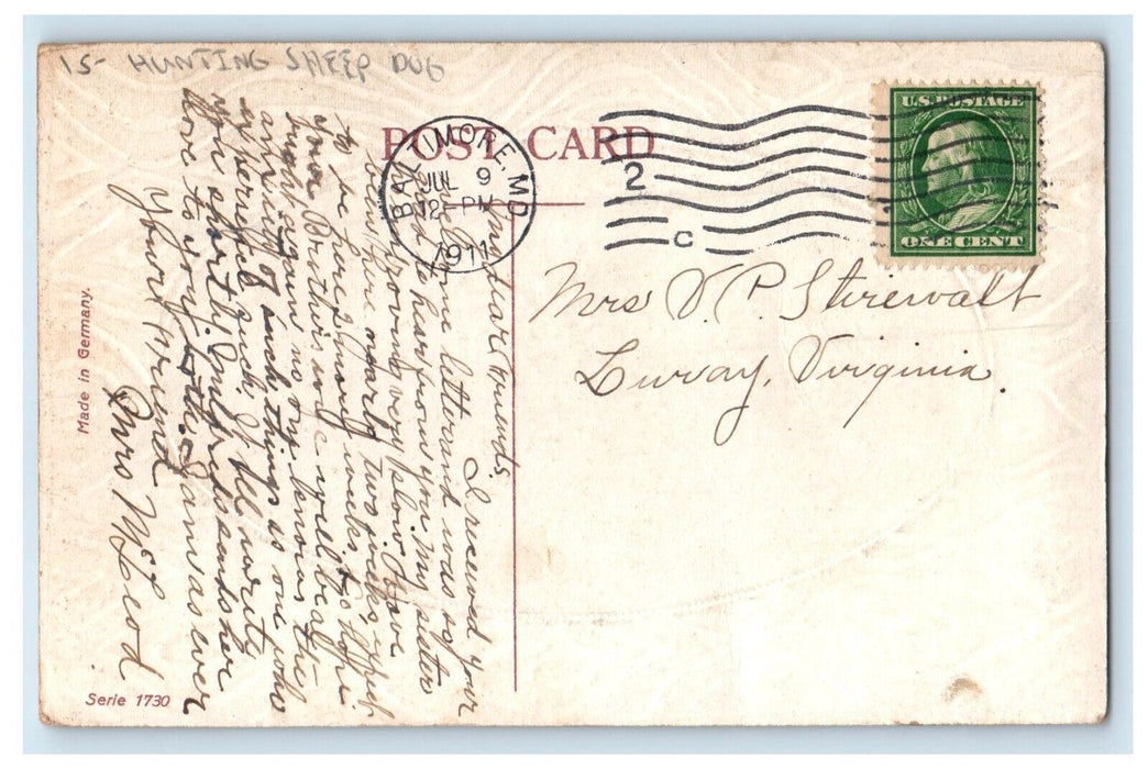 1911 Hunting Shepherd Dogs Baltimore Maryland MD Posted Antique Postcard