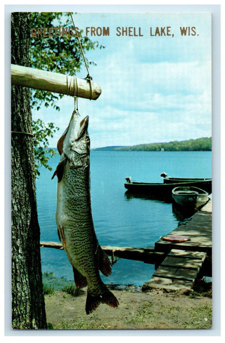 c1950s Giant Fish Caught Greetings from Shell Lake Wisconsin WI Postcard