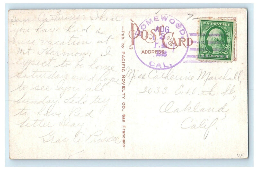 1920 Steamer Ship Tahoe On Lake Tahoe California CA Posted Antique Postcard