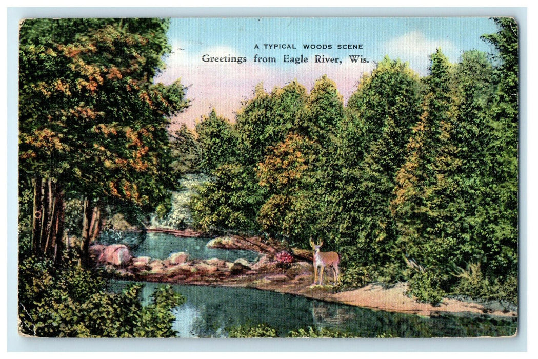 1942 Phelps WI Wood Scene, Greetings from Eagle River Wisconsin WI Postcard