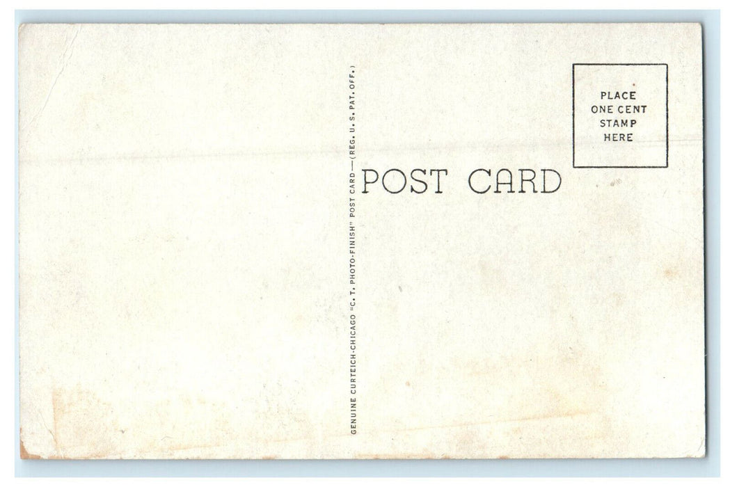 c1940s Trees View, US Post Office, Dwight Illinois IL Unposted Postcard