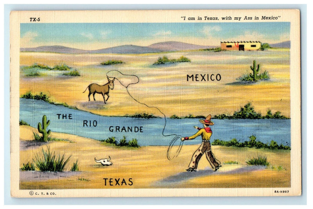 c1940 Cowboy, Cactus and Ass View, I am in texas with My Ass in Mexico Postcard