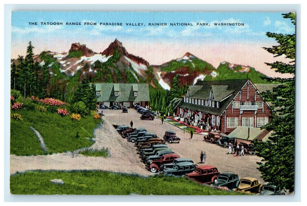 c1940's Tatoosh Range From Paradise Valley Rainier National Park WA Postcard