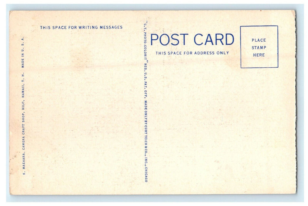 c1940s Beautiful Leaves, Lehua Flower Hawaii HI Unposted Vintage Postcard