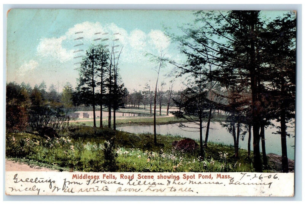 1906 Middlesex Fells Road Scene Showing Spot Pond Massachusetts MA Postcard