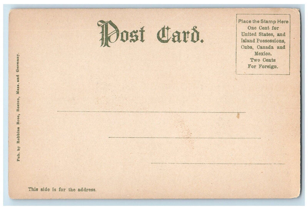 c1905 The Old Man Winter Snow Middlesex Fells Massachusetts MA Antique Postcard