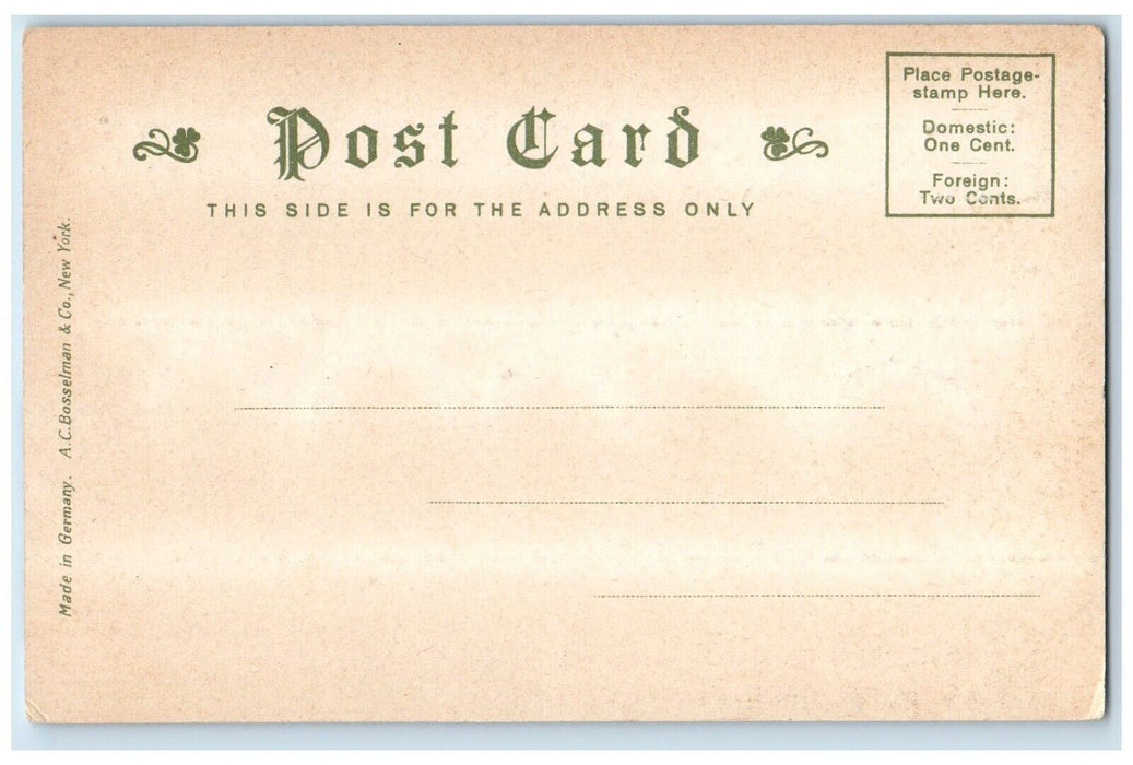 c1905 View Of Chickering Hall Building Boston Massachusetts MA Glitter Postcard