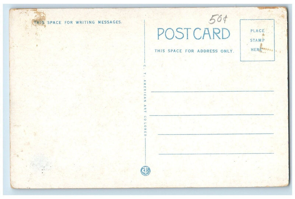 Looking Down Main Street Novelties Store Car Edgartown Massachusetts MA Postcard