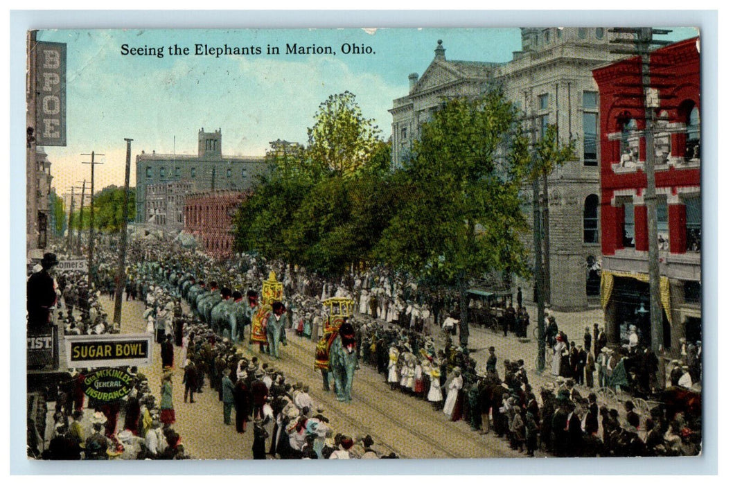 1915 Seeing The Elephants in Marion Ohio OH RPO Antique Posted Postcard