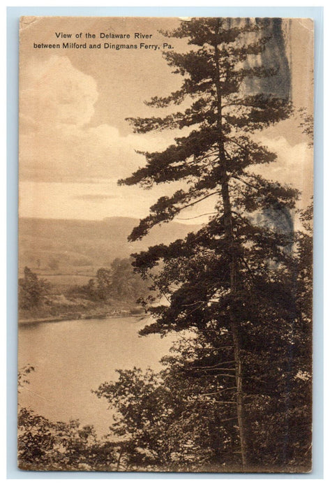 1911 View of the Delaware River Between Milford and Dingmans Ferry PA Postcard