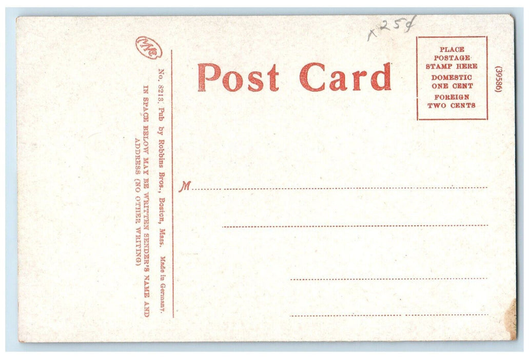 A View Of Silver Lake Trees Athol Massachusetts MA Unposted Antique Postcard