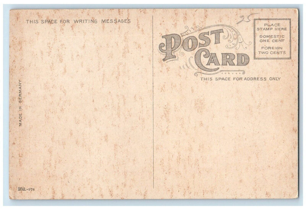 c1910's Bear Cage At Mountain Park Holyoke Massachusetts MA Antique Postcard