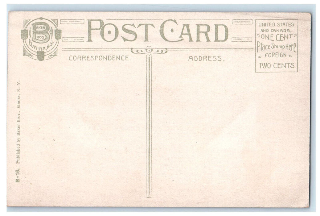 c1910 Vista Below Lovers Lane Watkins Glen New York NY Antique Postcard