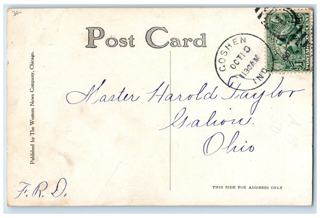 1907 Boy And Girl The Fortune Teller Goshen Indiana IN Posted Antique Postcard