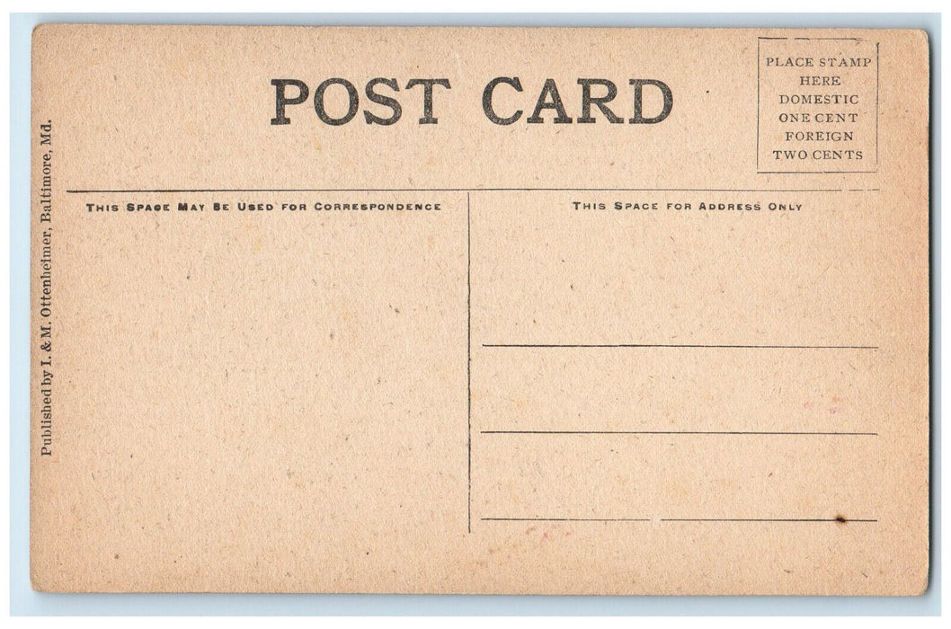 c1910 Scene in Rock Creek Washington DC Unposted Antique Postcard