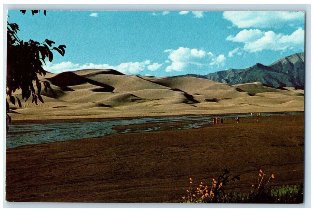c1960's Great Sand Dune National Monument San Luis Valley Colorado CO Postcard
