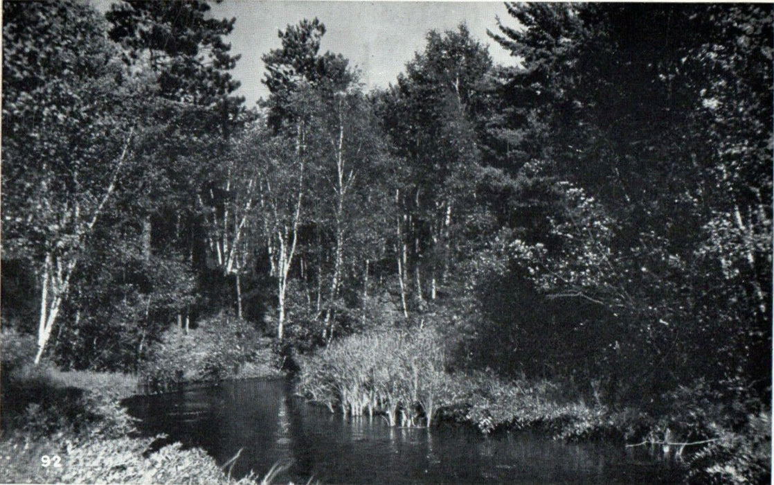 1947 River View, Greetings from Champion, Michigan Vintage Posted Postcard