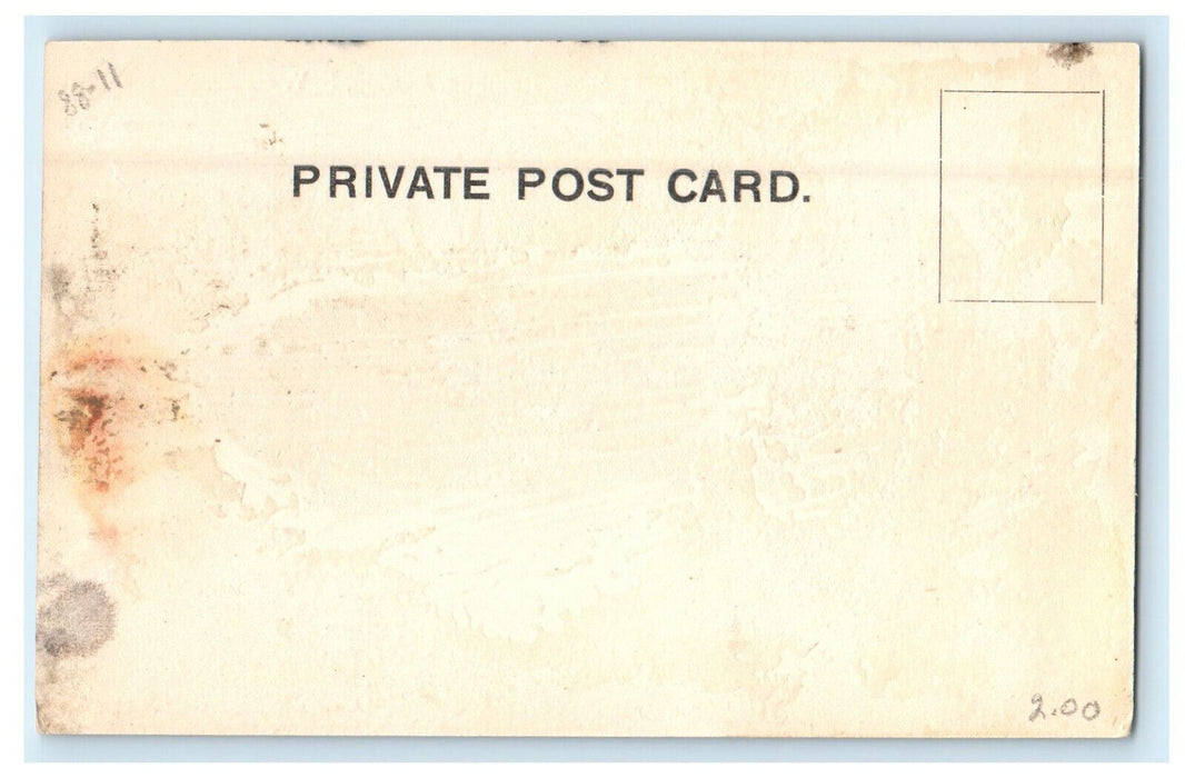 c1920s Ellicott Square Building, Buffalo New York NY Unposted Postcard