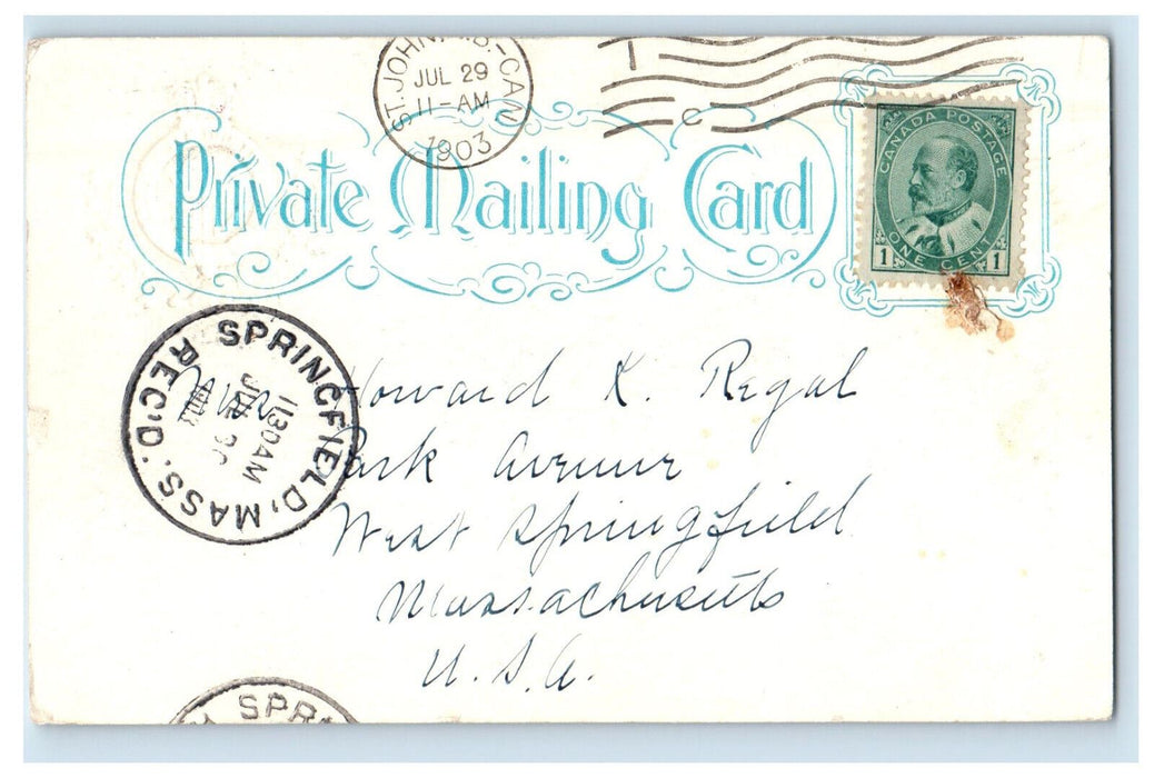 1903 Harbor at St. John New Brunswick CA Springfield MA PMC Postcard
