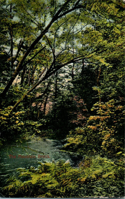 1909 The Mountain Brook, Griswoldville, Massachusetts MA Antique Posted Postcard