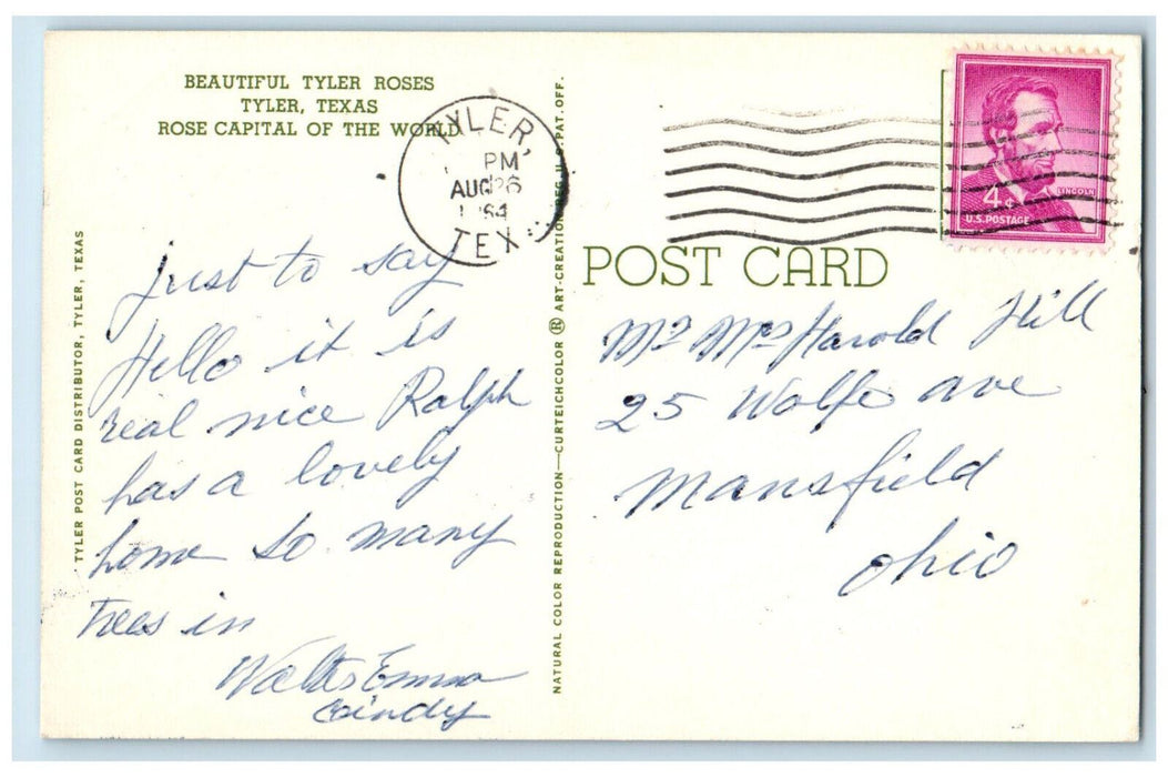 1964 Beautiful Tyler Roses Rose Capital of the World Tyler Texas TX Postcard