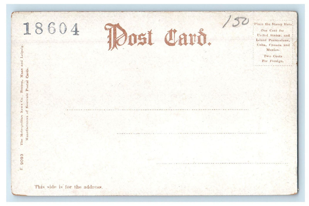 c1905 Mt. Sugarloaf, South Deerfield Massachusetts MA Antique Postcard