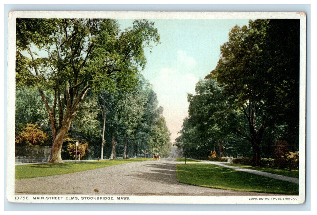 c1910 Main Street Elms Stockbridge Massachusetts MA Phostint Postcard