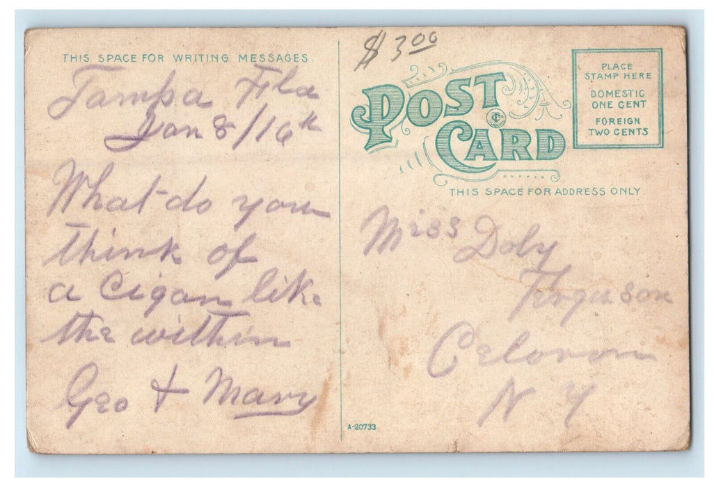 c1910 Berriman Bros Cigar Factory Jose Villa Brand Tampa Florida FL Postcard