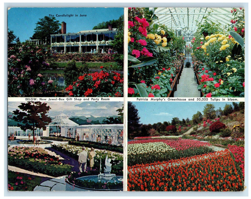 c1970s Flowers View Patricia Murphy's Candlelight Restaurant Yonkers NY Postcard