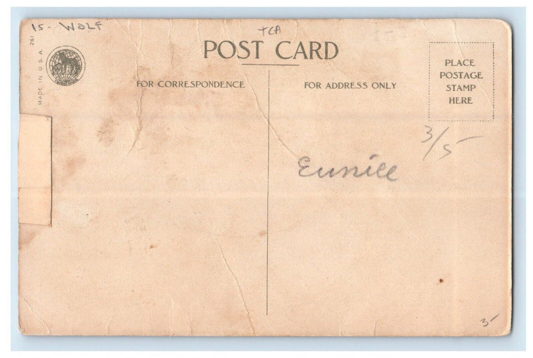 c1910's Happy Easter Poem Little Girl Picking Flowers Wolf Antique Postcard