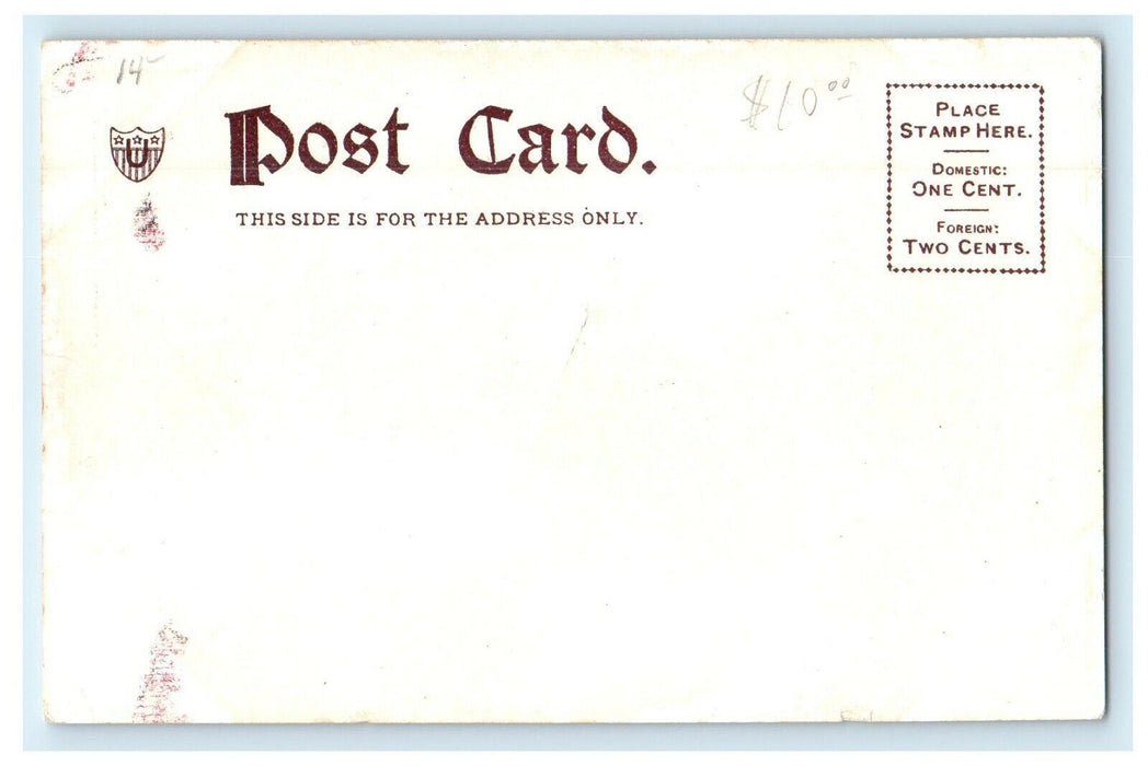 Harvard University Beautiful College Girl Pennant Massachusetts MA Postcard